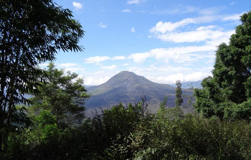 Central Bali VW Safari Adventure