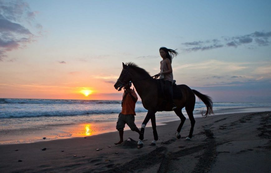 Horse Riding Experience in Bali