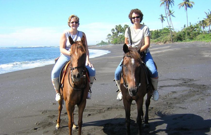Horse Riding Experience in Bali