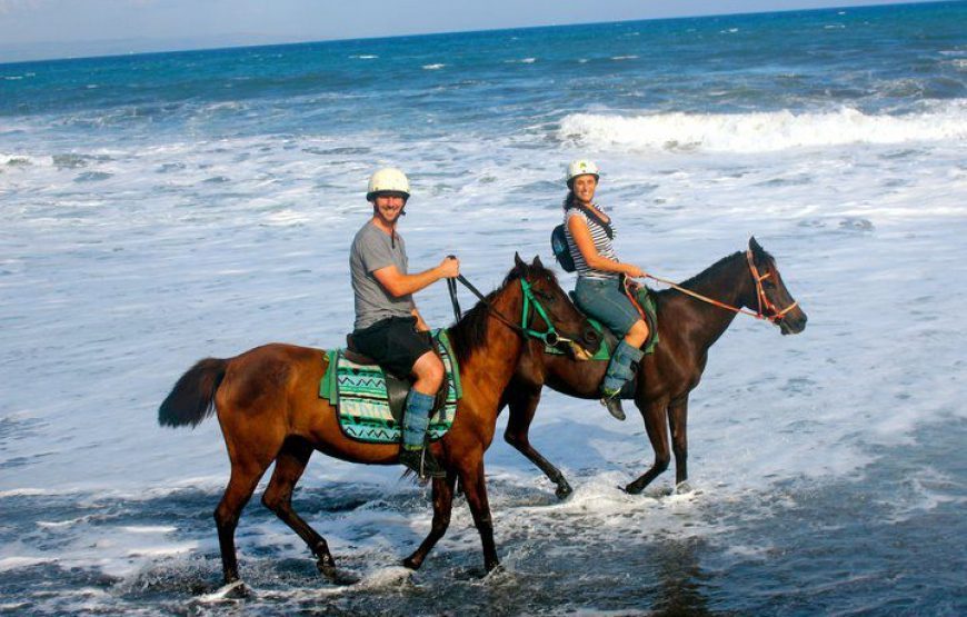Horse Riding Experience in Bali