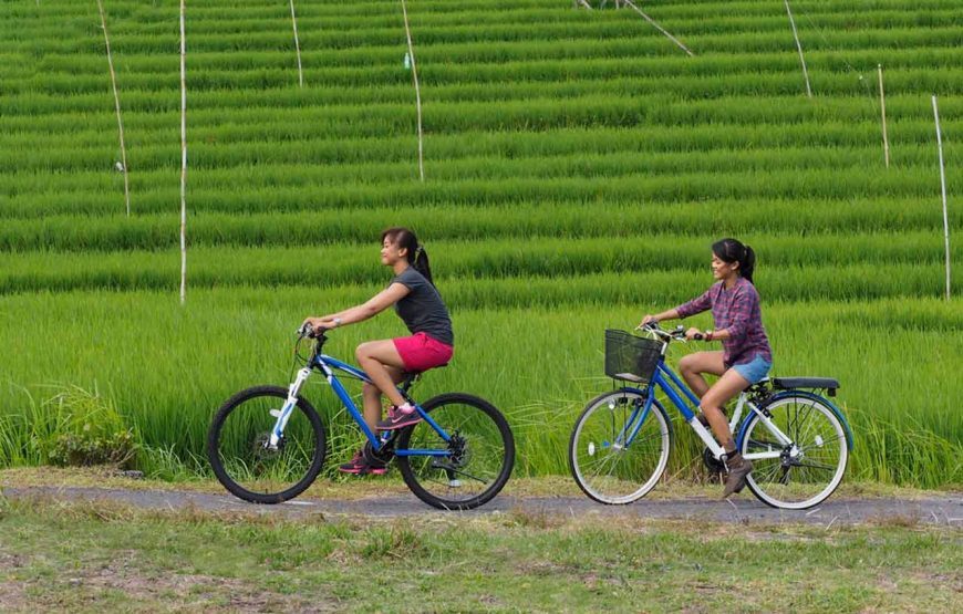 Cycling Tour in Ubud : Cycling through Ubud’s Scenic Landscapes