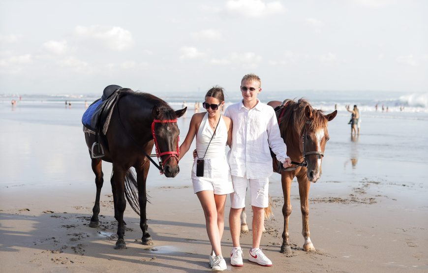 Horse Riding Experience in Bali