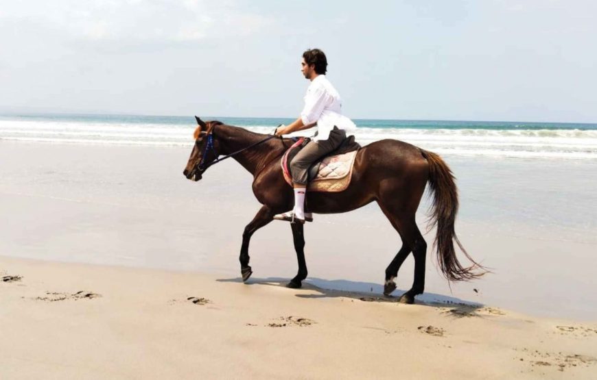 Horse Riding Experience in Bali