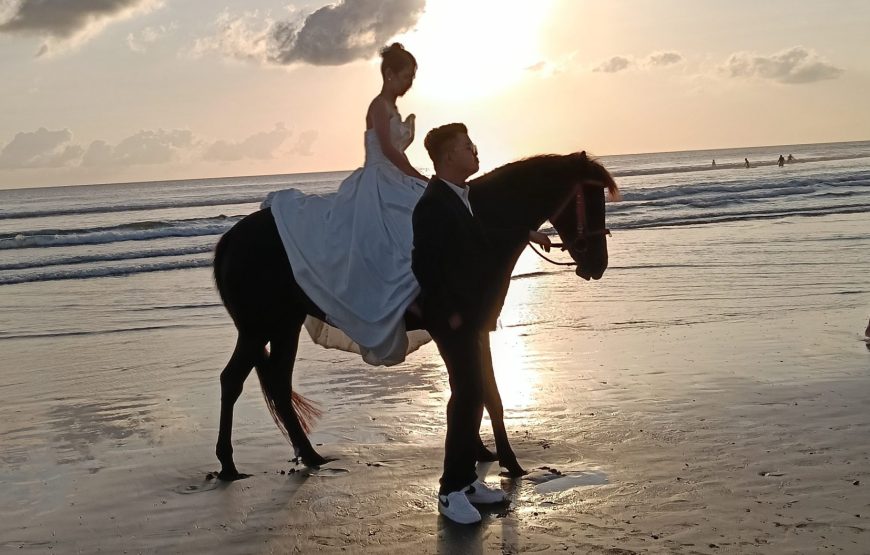 Horse Riding Experience in Bali