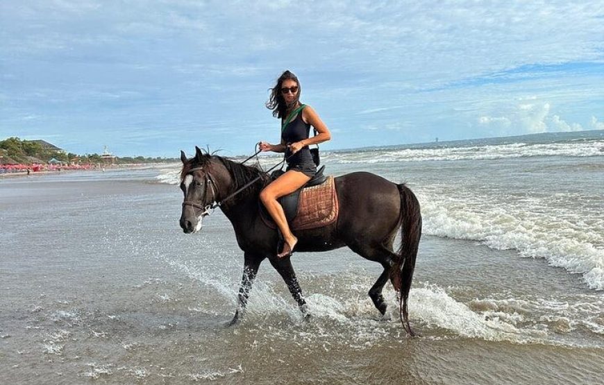 Horse Riding Experience in Bali