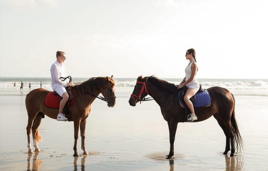 Horse Riding Experience in Bali