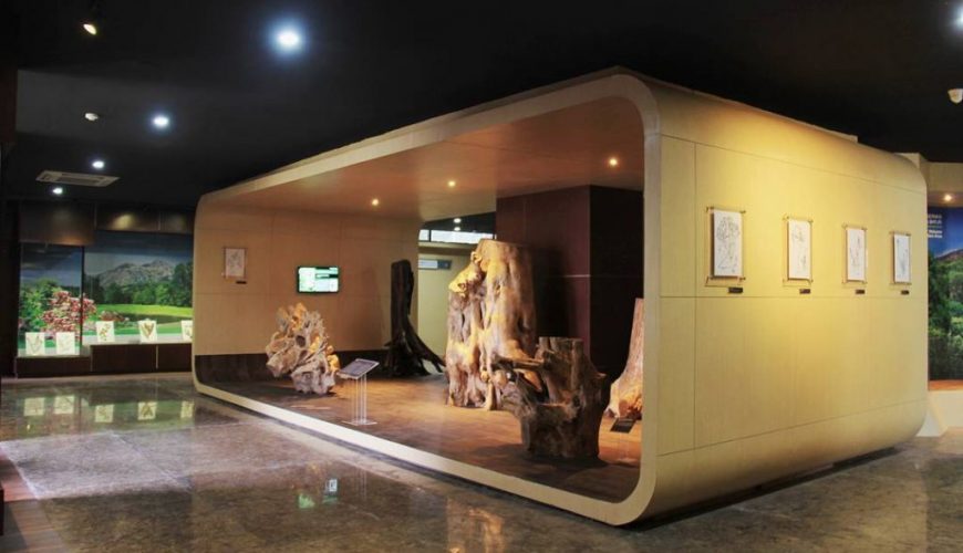 Museum Batur Global Geopark