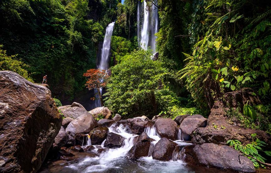 DAY 8.   Private half-day sightseeing tour to North Bali - Sekumpul Waterfall (B)