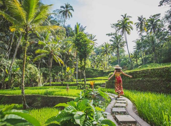 bali luxury trip Ubud Explorer – Heart of Bali