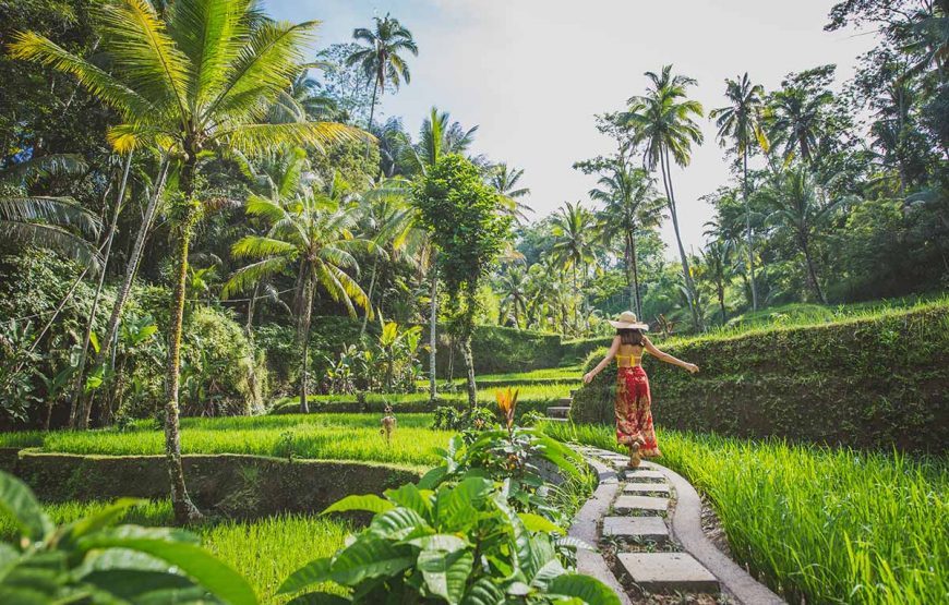 Bali Serenity