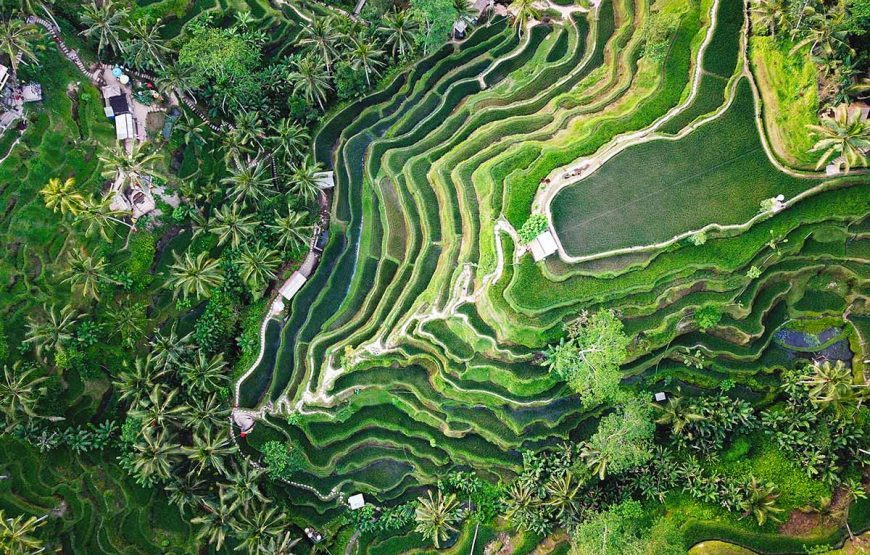 Bali Serenity