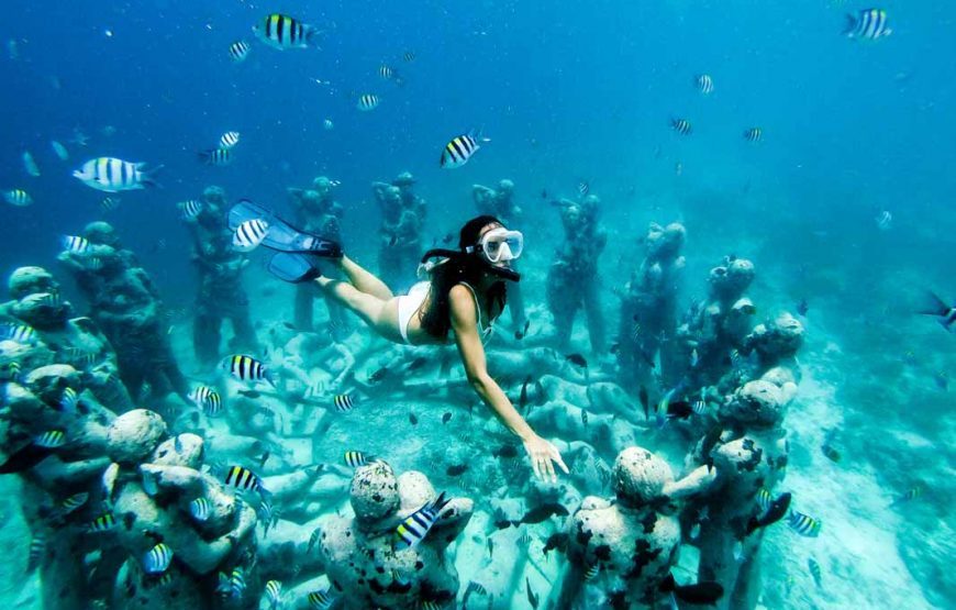 Discover The Island