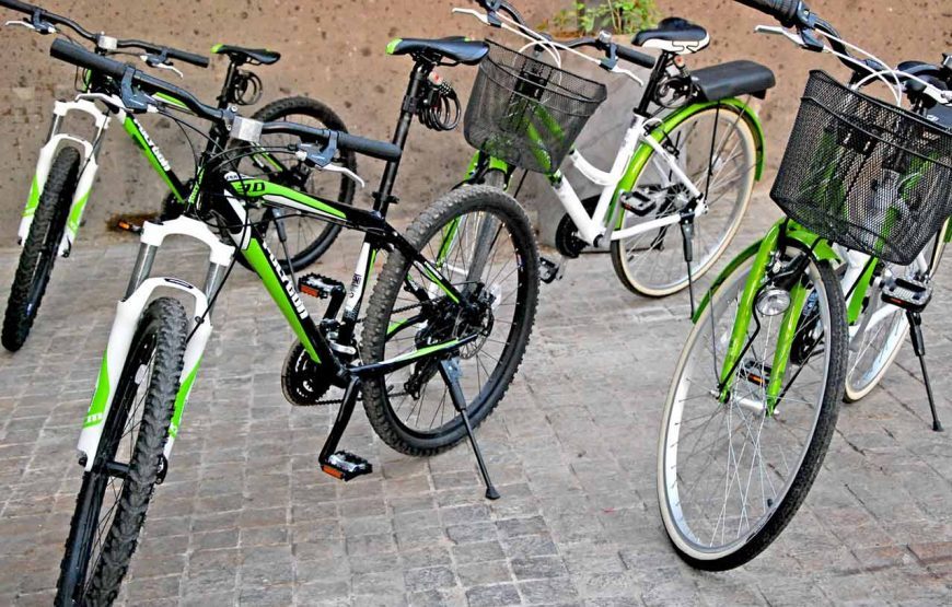 Cycling Tour in Ubud : Cycling through Ubud’s Scenic Landscapes