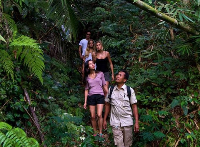 Tropical Trekking by Mason Adventure