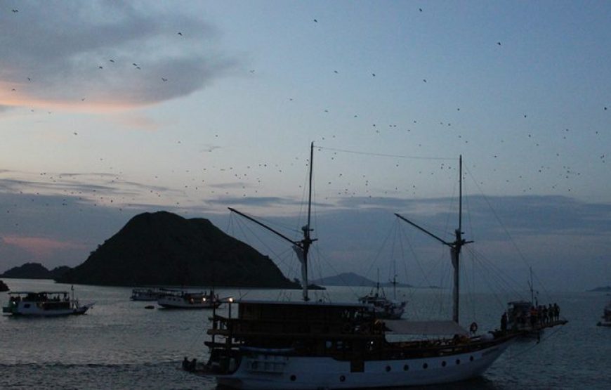 2-Day Komodo Island Tour: Ultimate Phinisi Adventure