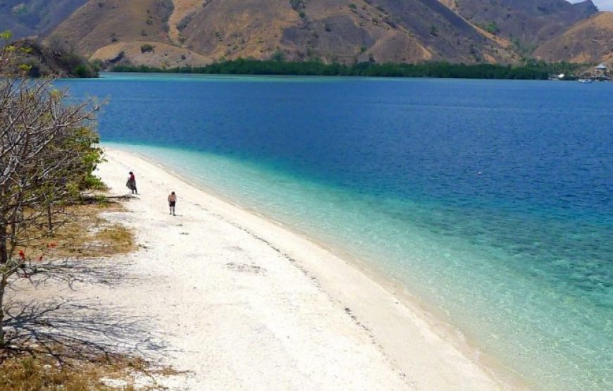 2-Day Komodo Island Tour: Ultimate Phinisi Adventure