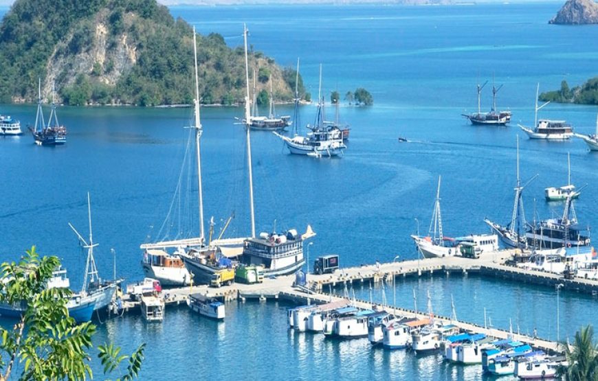 2-Day Komodo Island Tour: Ultimate Phinisi Adventure