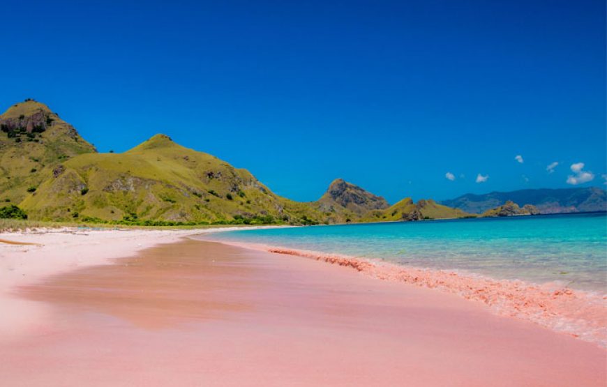2-Day Komodo Island Tour: Ultimate Phinisi Adventure
