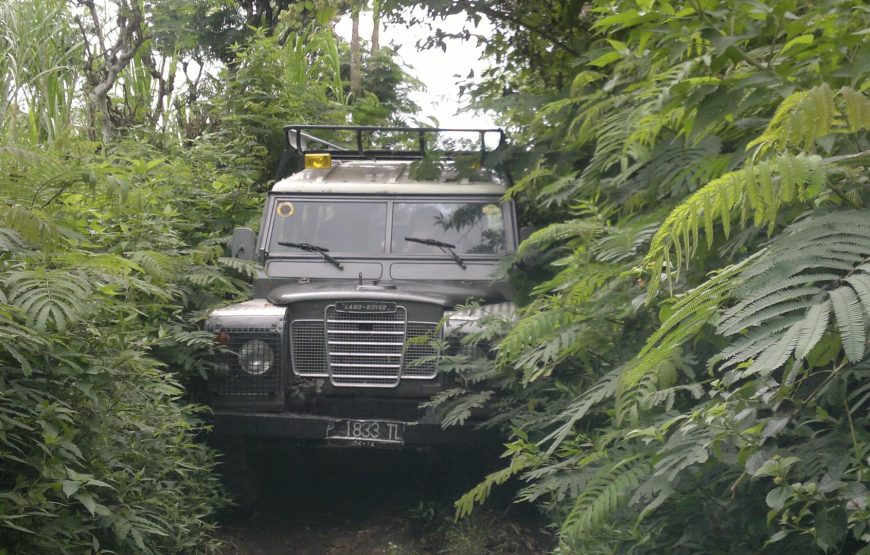 Mystical Volcanoes & Bali Countryside Classic Land Rover Jeep Adventure