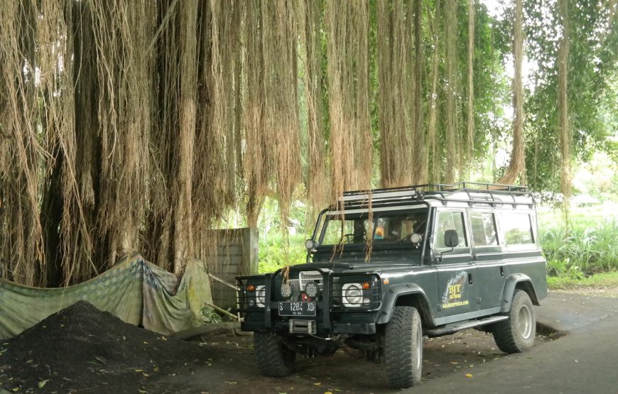 Mystical Volcanoes & Bali Countryside Classic Land Rover Jeep Adventure