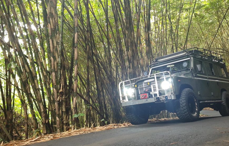 Bali Sunrise & Land Rover Jeep Adventure