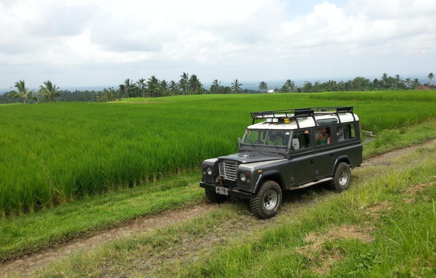 Mystical Volcanoes & Bali Countryside Classic Land Rover Jeep Adventure