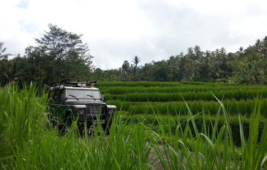Mystical Volcanoes & Bali Countryside Classic Land Rover Jeep Adventure
