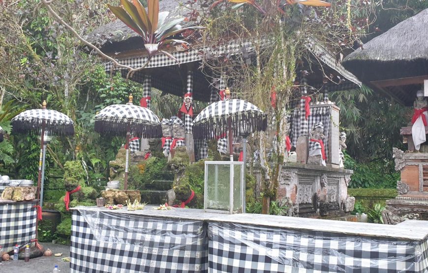 Mystical Volcanoes & Bali Countryside Classic Land Rover Jeep Adventure