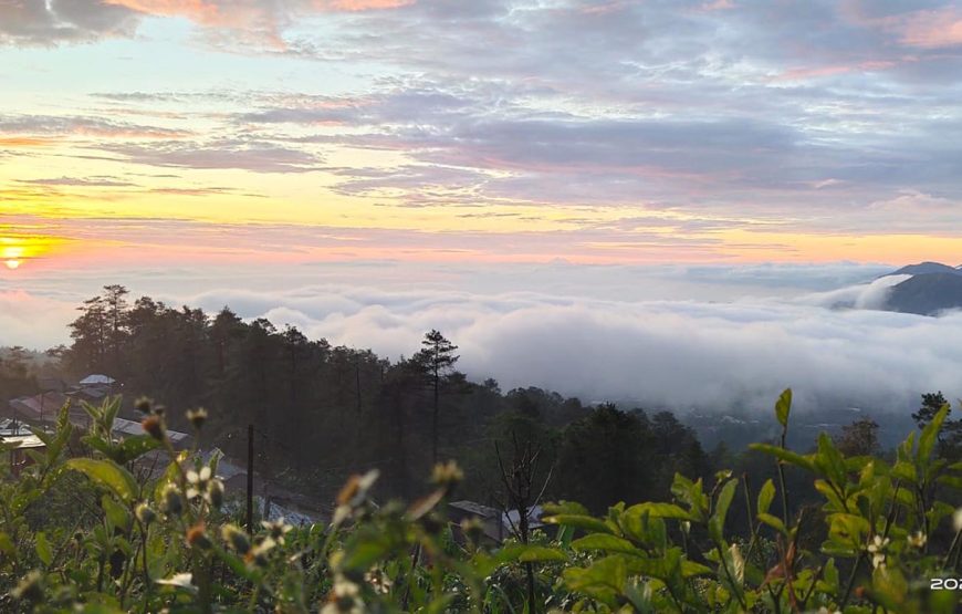 Bali Sunrise & Land Rover Jeep Adventure