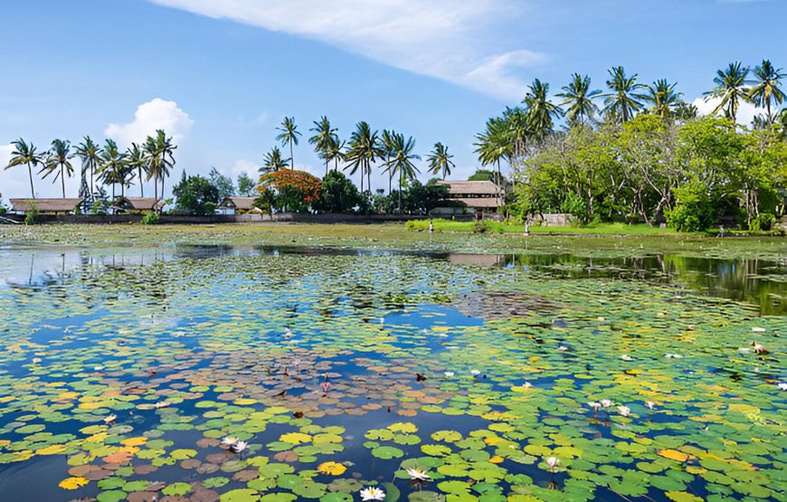 Bali’s Cultural Odyssey: Lempuyang, Tirta Gangga, Candi Dasa and Taman Ujung
