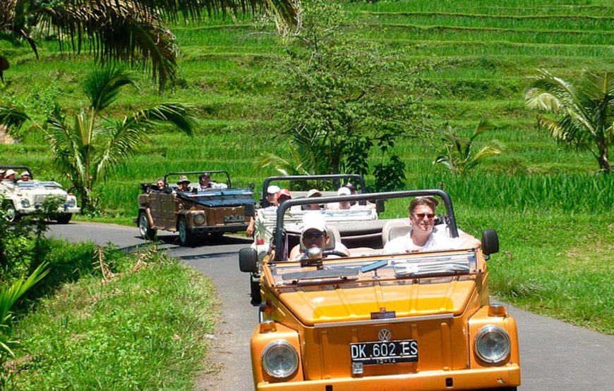 Freedom VW Safari – Create Your Own Bali Adventure