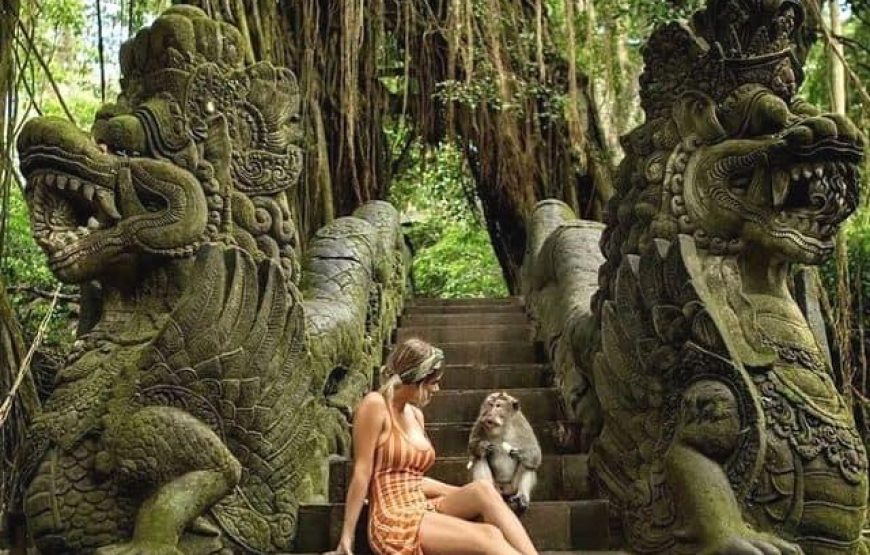 Freedom VW Safari – Create Your Own Bali Adventure